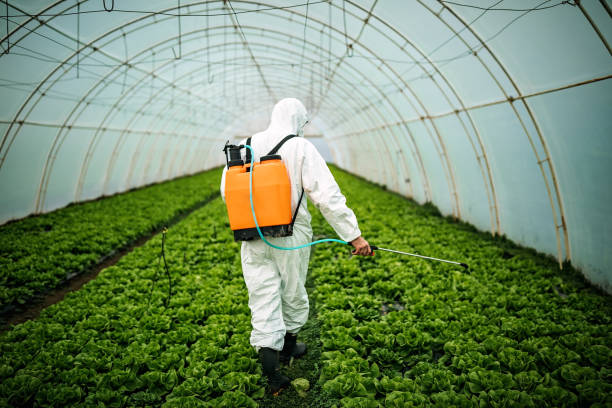 Best Best Pest Control Companies  in Las Animas, CO