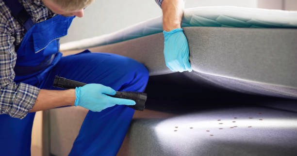 Best Emergency Pest Control  in Las Animas, CO