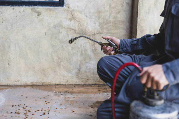 Best Affordable Pest Control Services  in Las Animas, CO